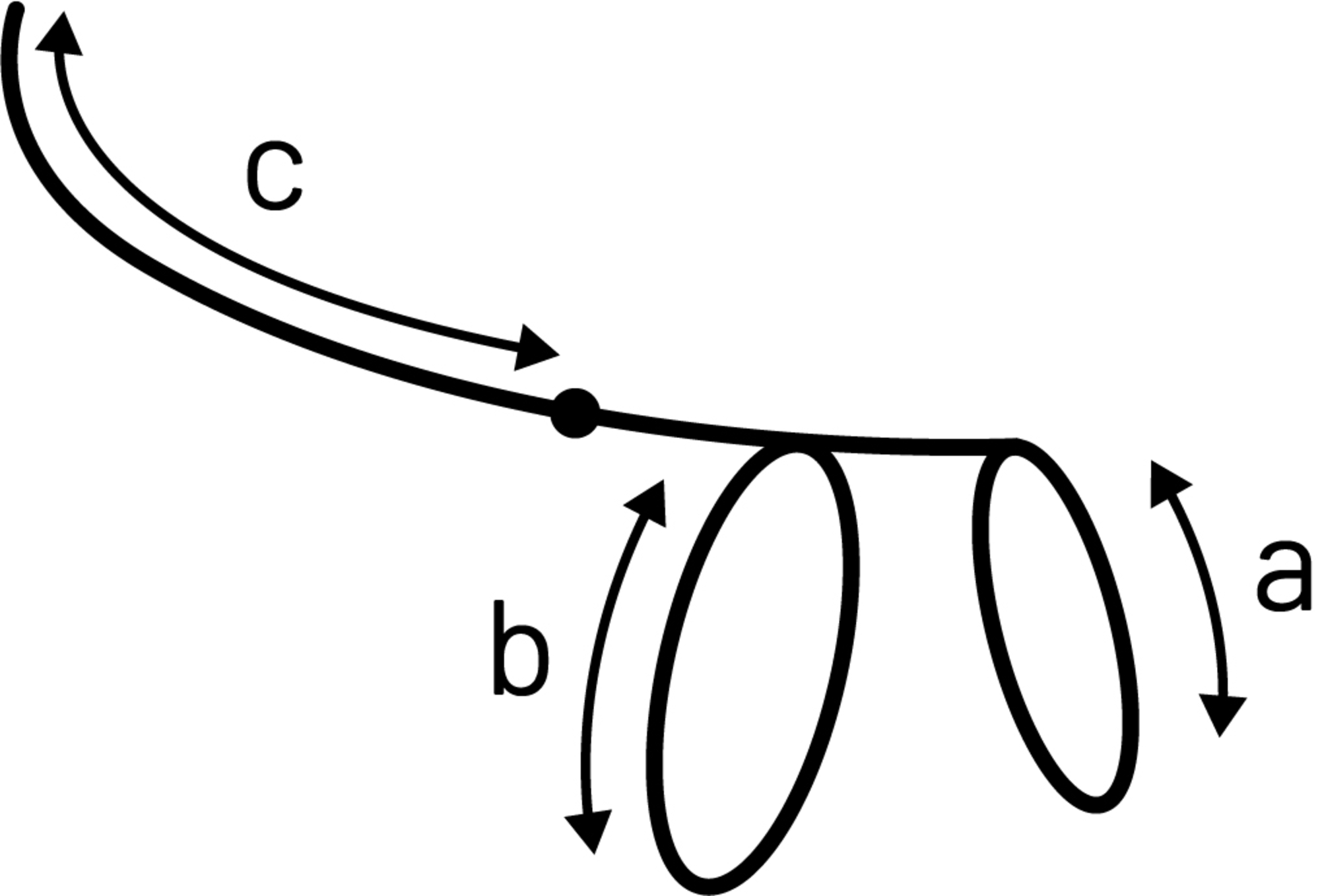 ARNES NYLON CON RAMAL GATO 1X110CM ROJO
