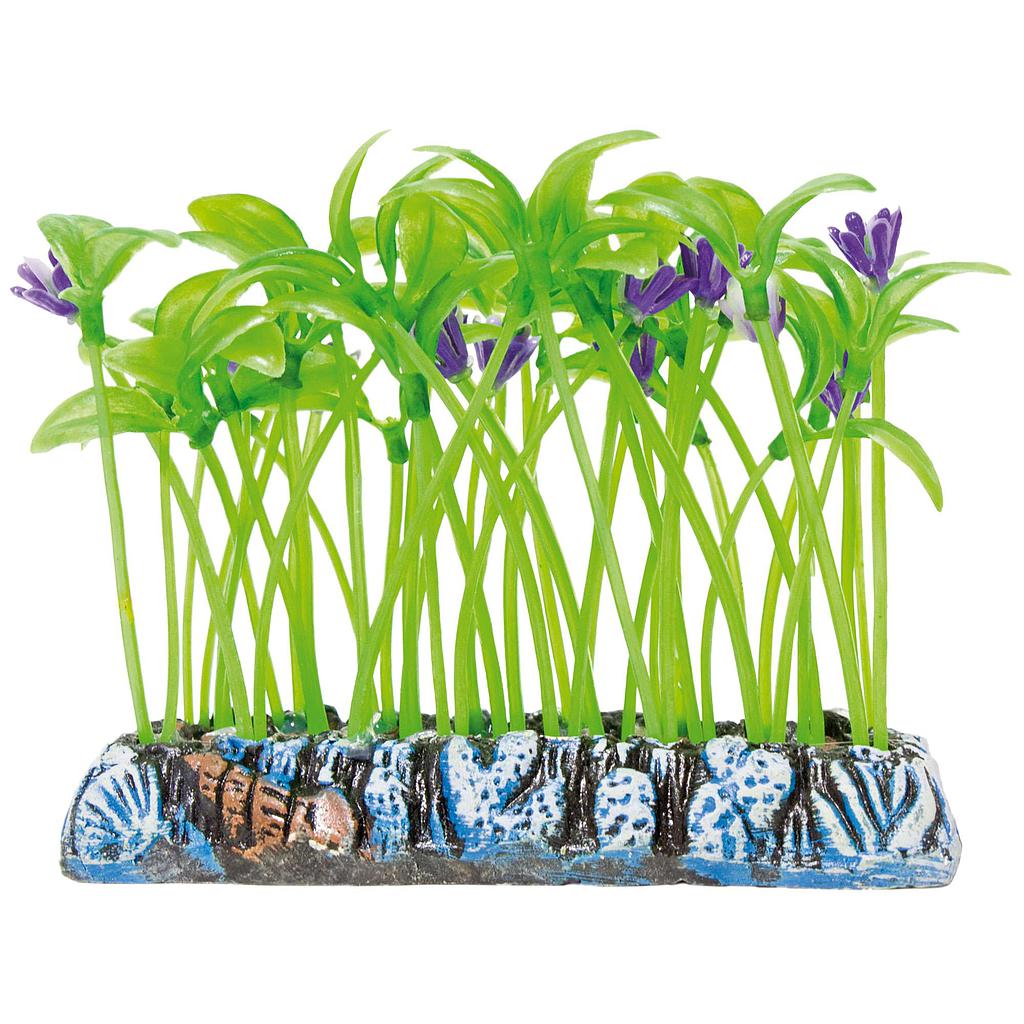 Salvacrías Dracaena AQUATIC PLANTS (PLÁSTICO) verde 7 9cm