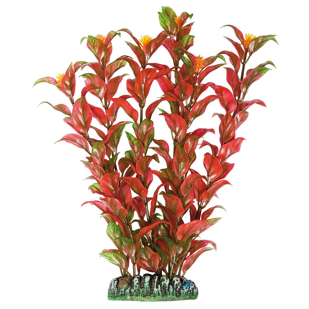 Alternanthera de AQUATIC PLANTS (PLÁSTICO) rojo 22cm