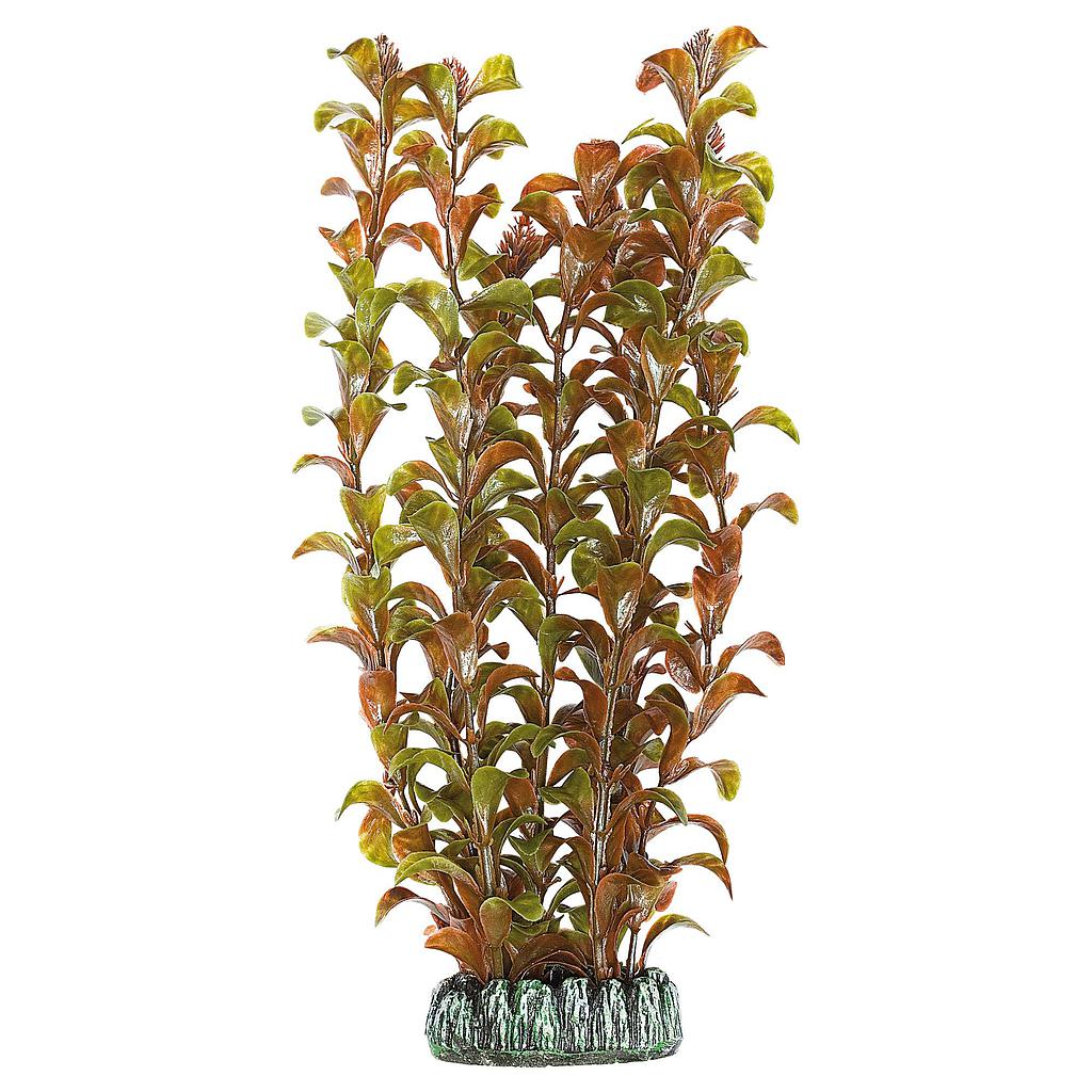 ** Alternanthera de AQUATIC PLANTS (PLÁSTICO) rojo 28cm