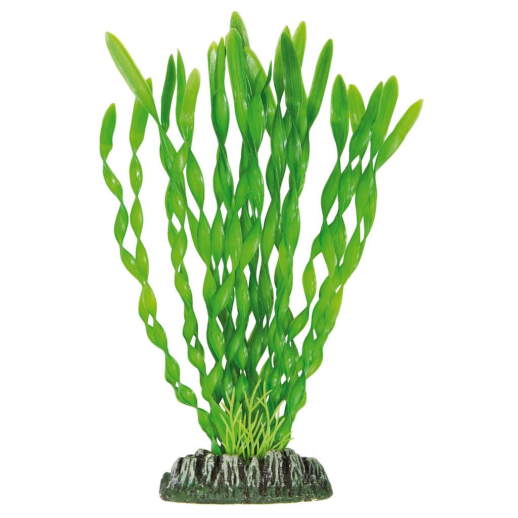 Vallisneria de AQUATIC PLANTS (PLÁSTICO) verde 21,5cm