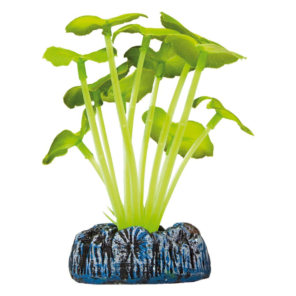 Hydrocotyle de AQUATIC PLANTS (SEDA) verde 9,5cm