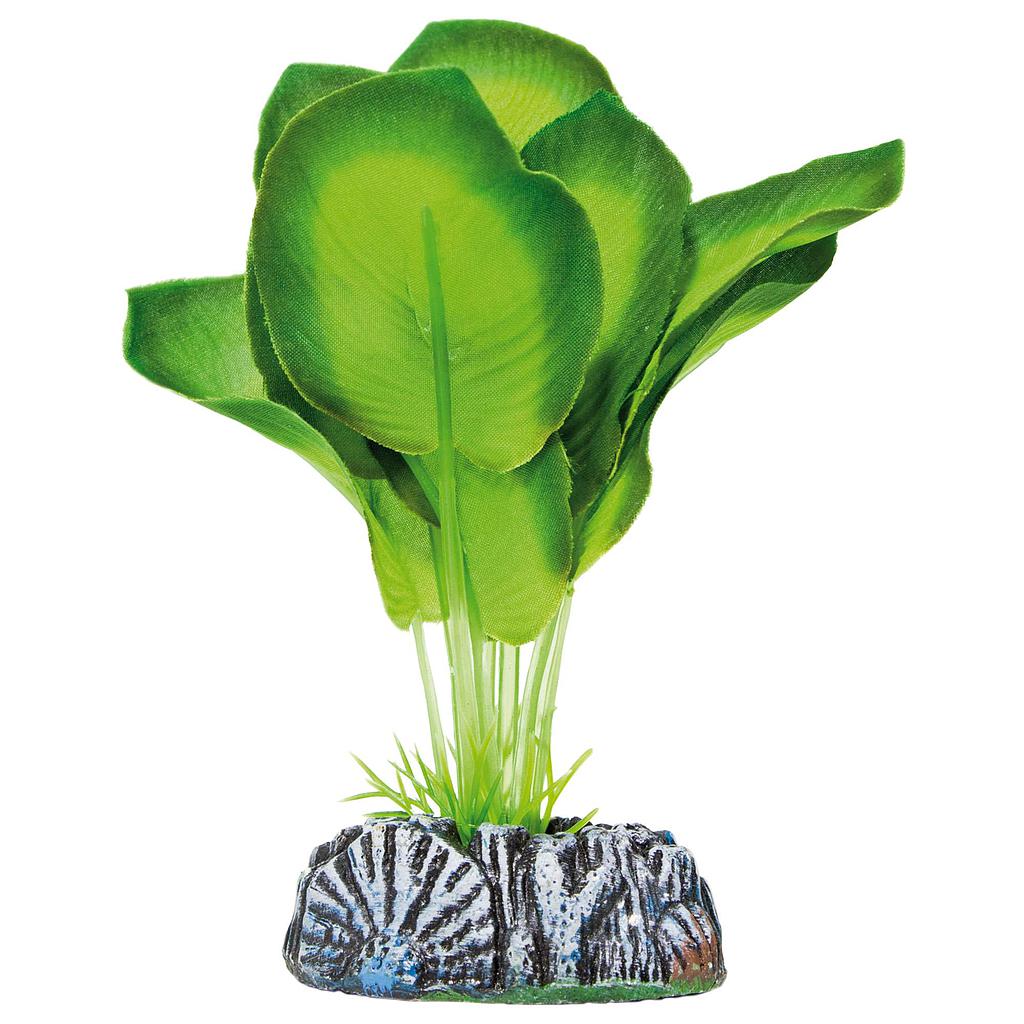 Aglaonema de AQUATIC PLANTS (SEDA) verde 20cm