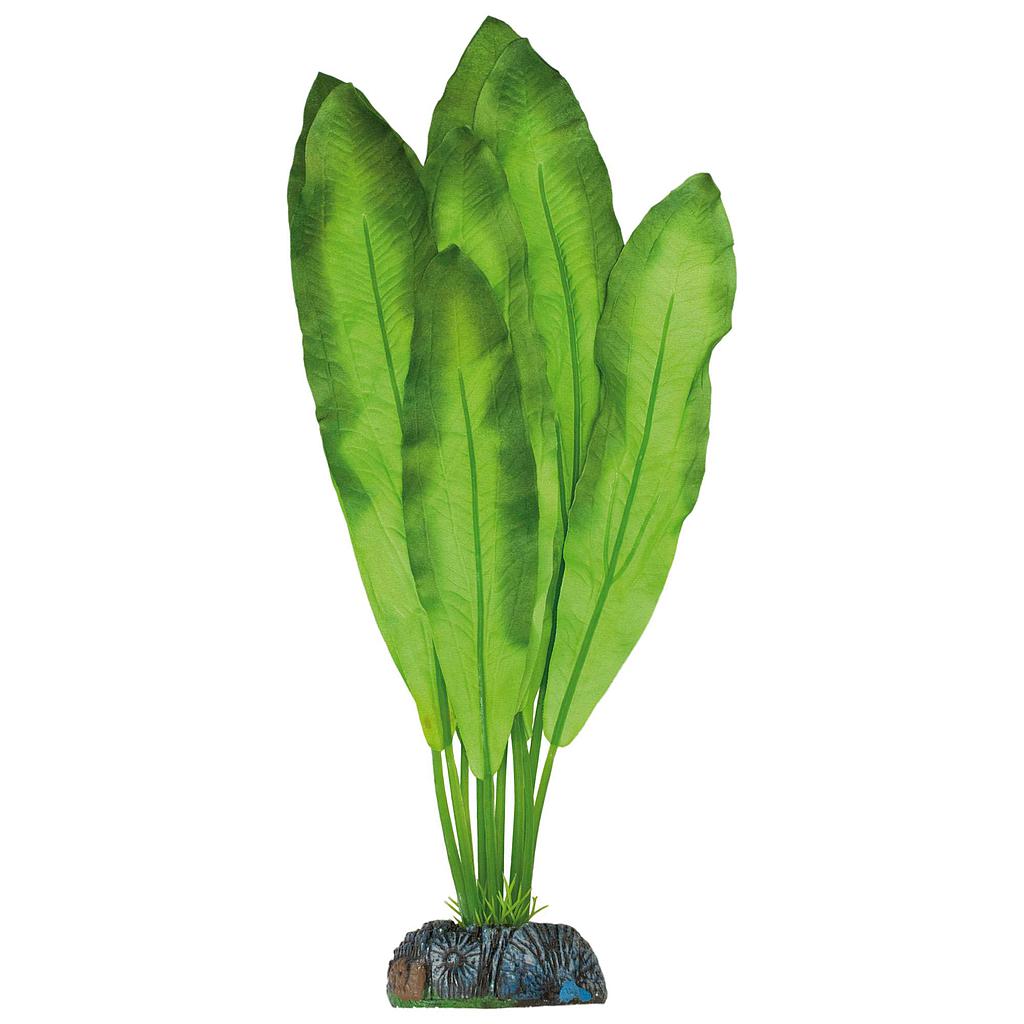 Polygonum de AQUATIC PLANTS (SEDA) verde 20cm