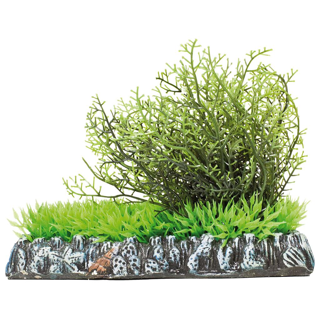 Fucus con césped de AQUATIC PLANTS (PLÁSTICO) verde 11x14cm
