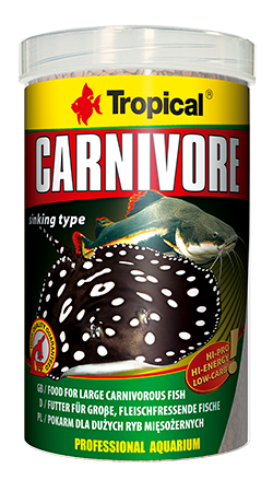 Tropical CARNIVORE Carnivoros de fondo
