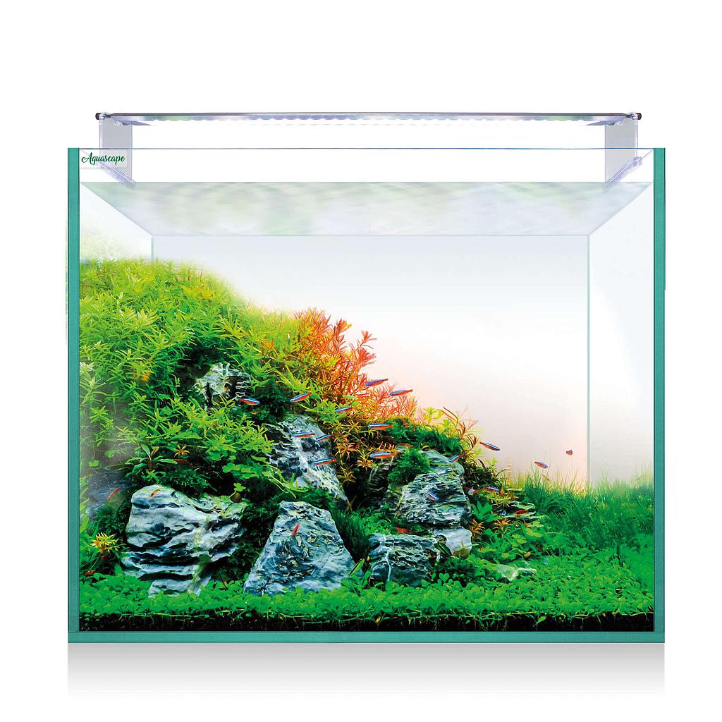 Kit Aquascape Extra Claro 150 (136L) 60x50x50