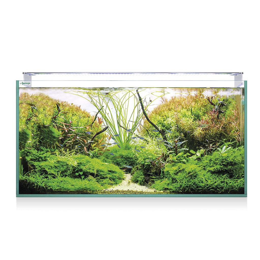 Kit Aquascape Extra Claro 250 (226L)100x50x50