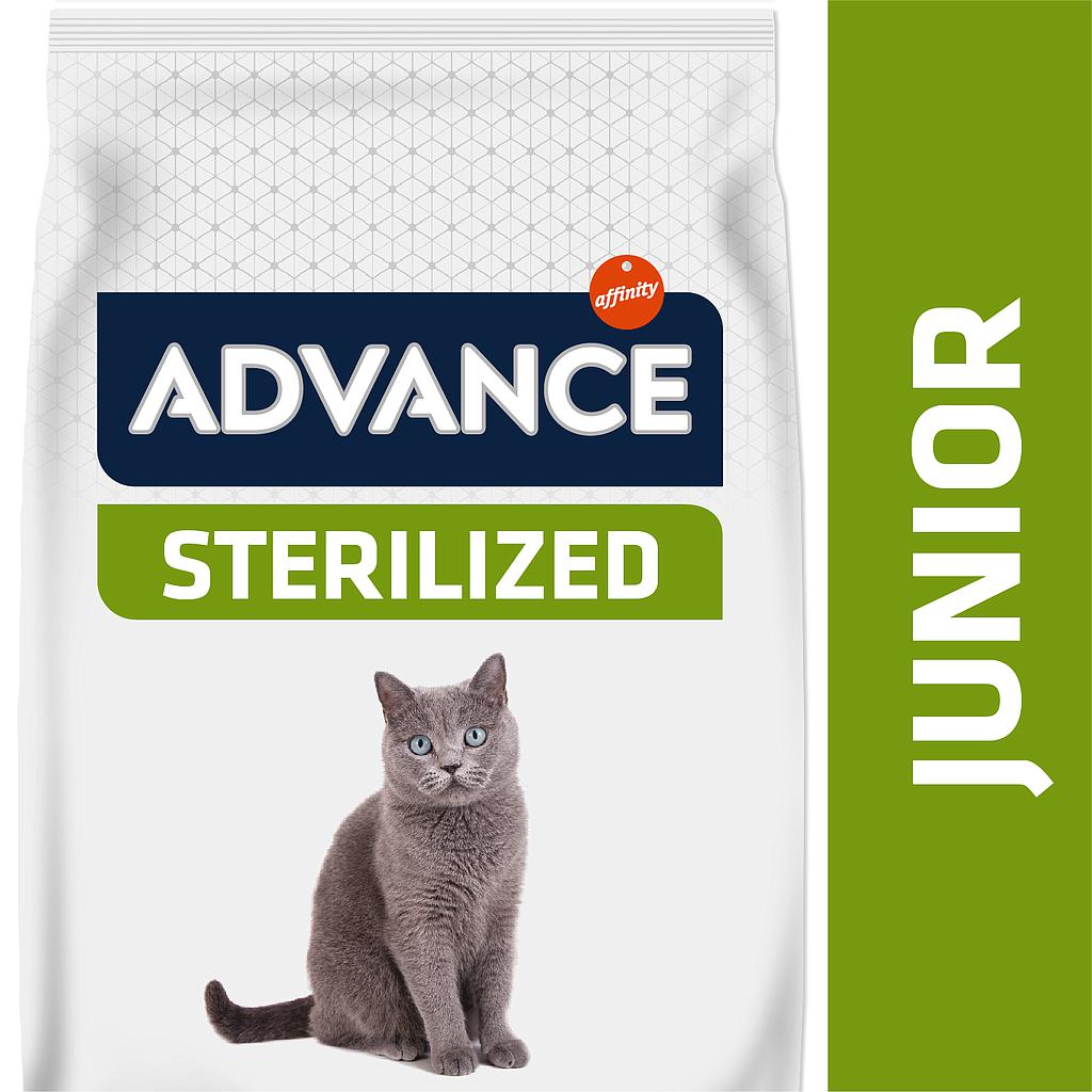 ADVANCE GATO YOUNG STERILIZED