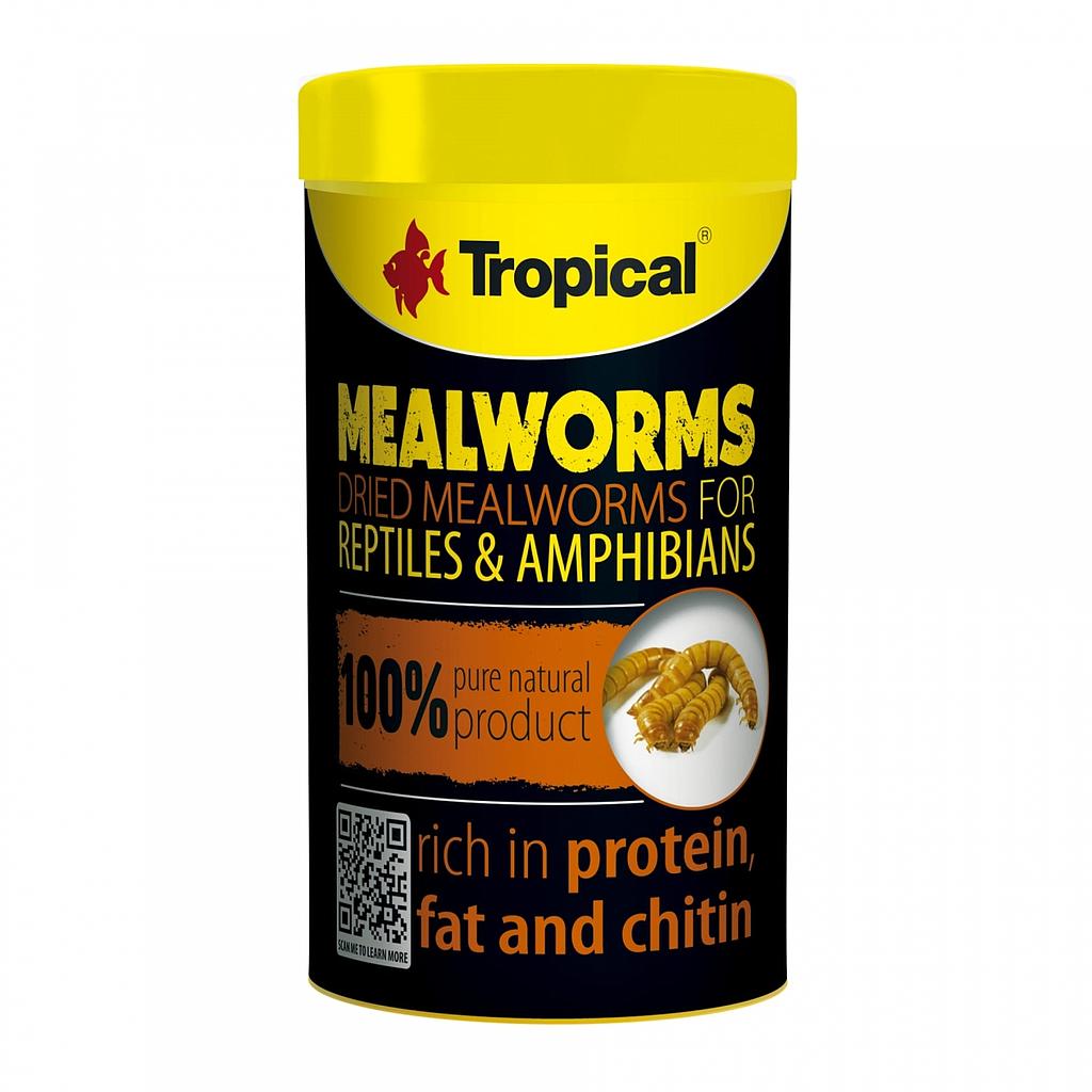 Larvas Seca de Tenebrio (Meal Worms)