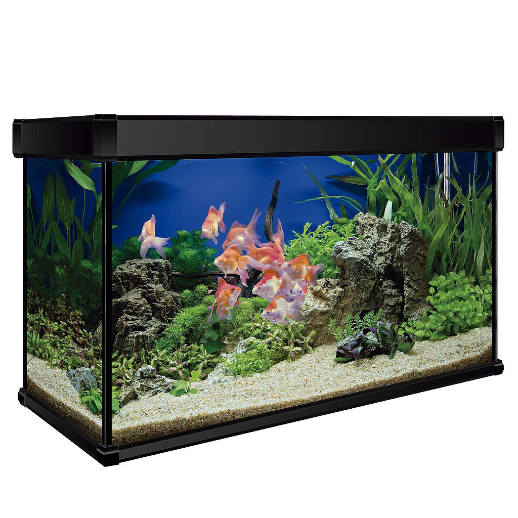 Kit AQUA LUX PRO 100 con filtro interior (100.00 L)