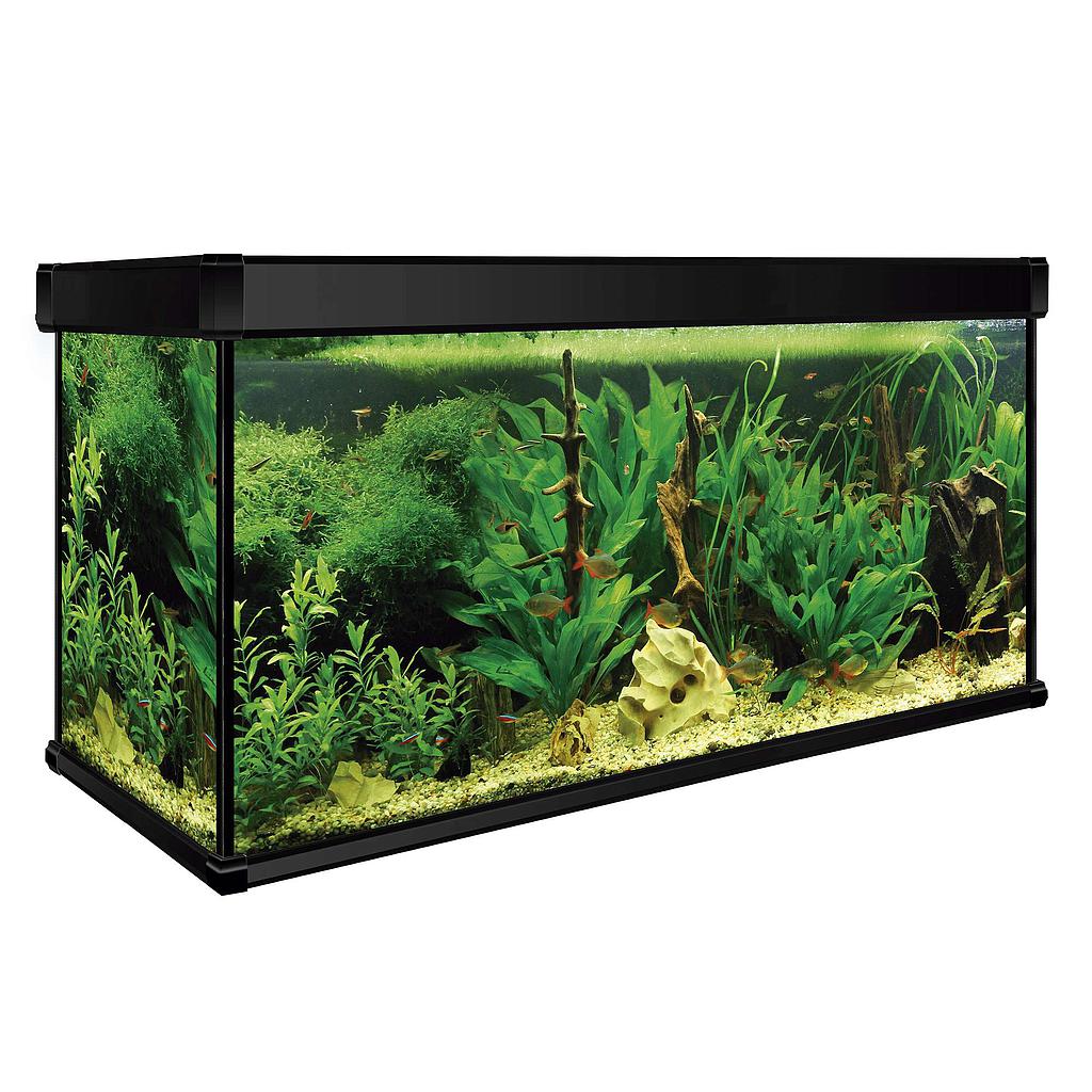 Kit AQUA LUX PRO 130 con filtro interior (130.00 L)