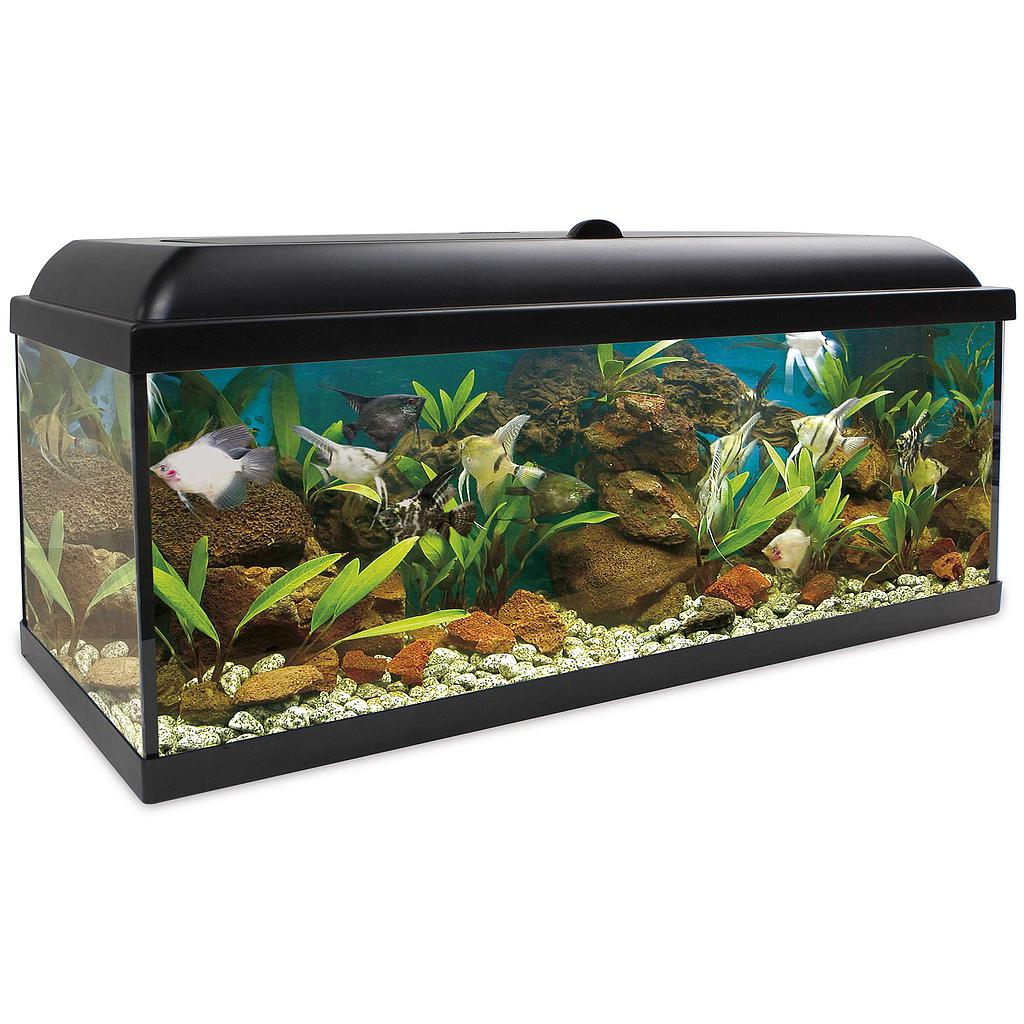 Kit AQUA-LED PRO 240 con filtro exterior (240.00 L)