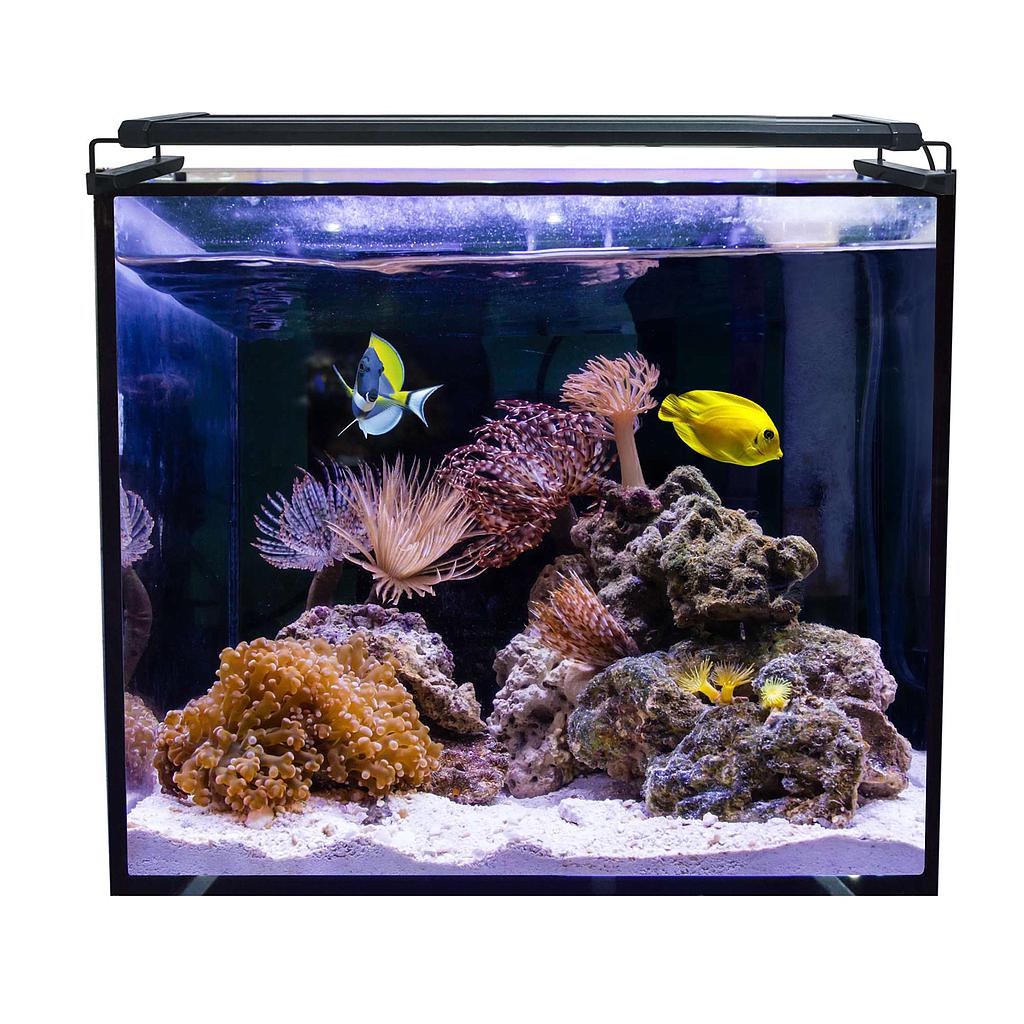 Acuario marino AQUA OCEAN Hydra  (164.00 L) 
