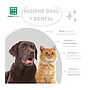 Enjuague bucal antisarro perros y gatos 500ml