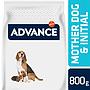 ADVANCE Mother Dog & Initial